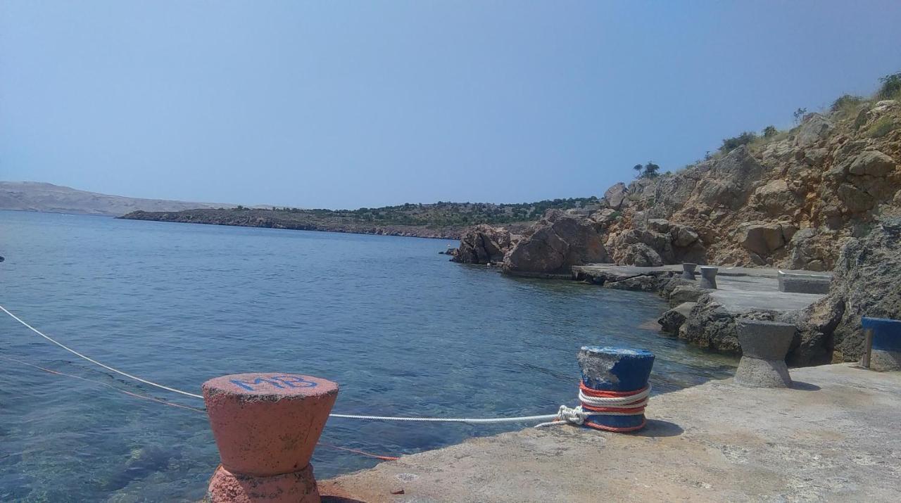 Apartment Cesarica Εξωτερικό φωτογραφία