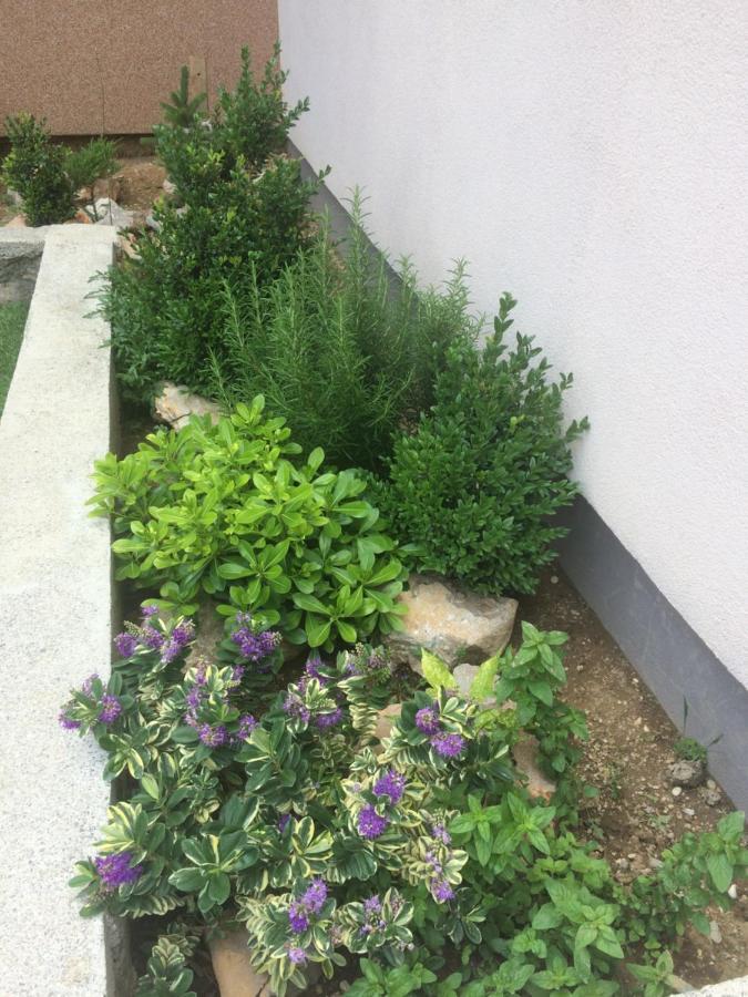 Apartment Cesarica Εξωτερικό φωτογραφία